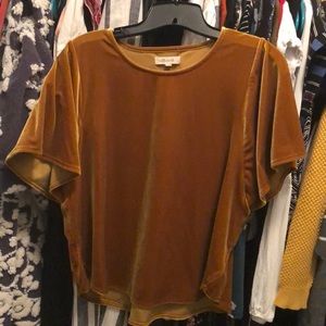 Madewell velvet top